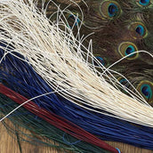 Echter, gespaltener Pfauenfederkiel für Ranzen mit traditioneller Federkielstickerei.